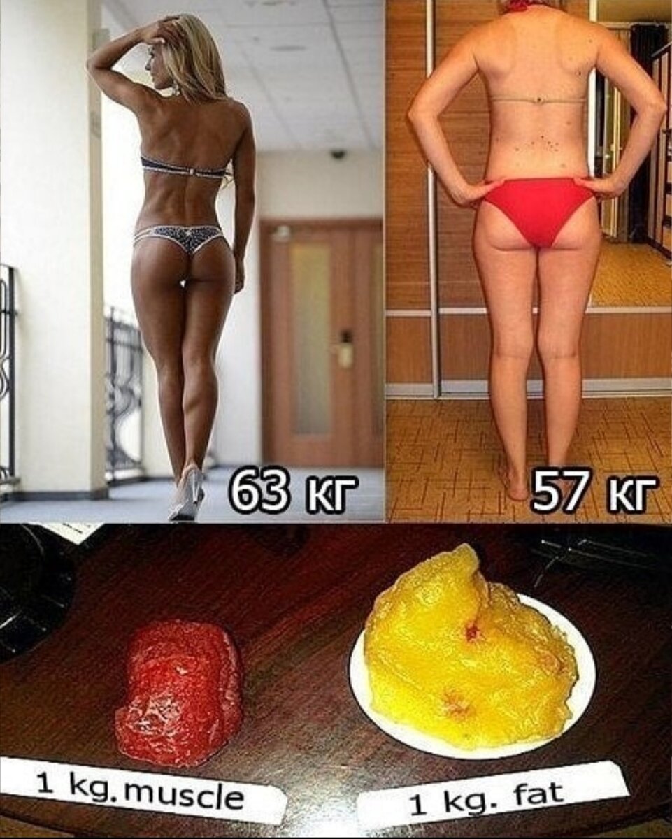 Сколько весит жир