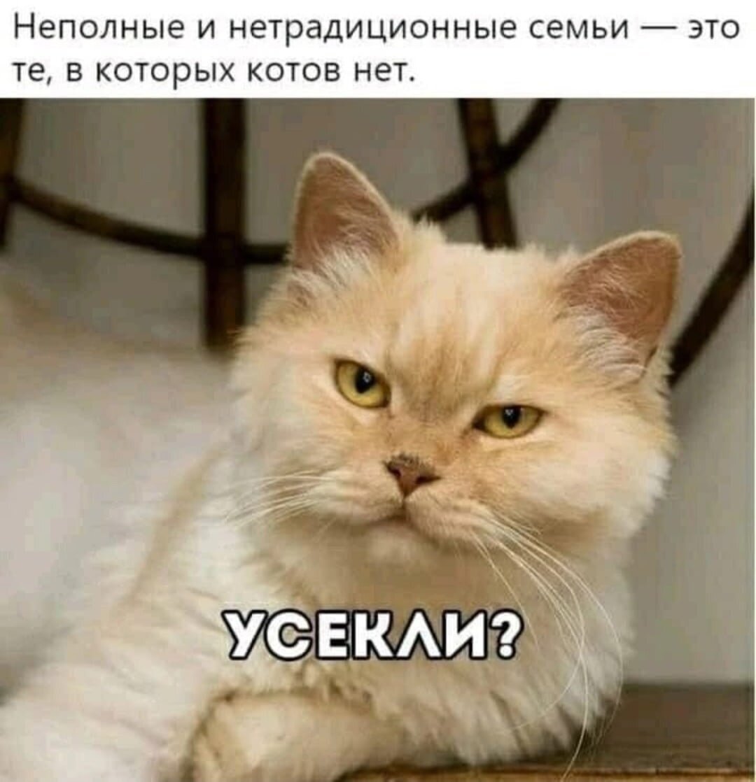 Посмеялся сам - поделись с другом!!!