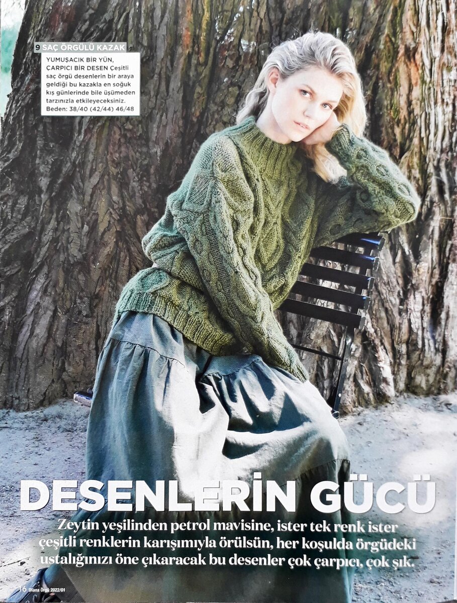 Фото свитера из журнала Diana 1/22.