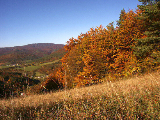     Фото: Pixabay.com
