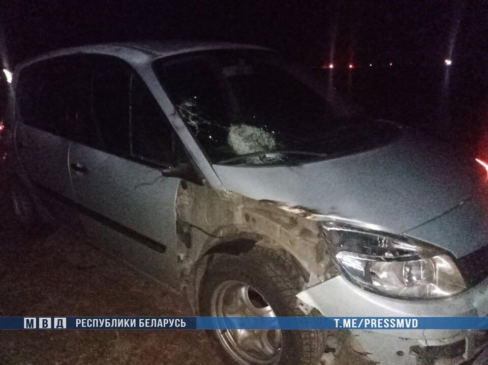     62-летняя водитель авто под Несвижем насмерть сбила 14-летнего подростка. Фото: телеграм-канал МВД