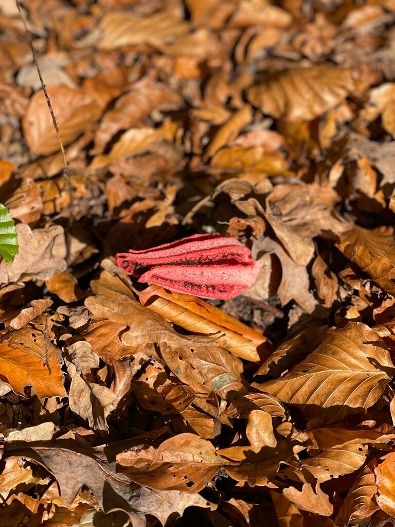 Страшно было к нему приблизиться, так как казалось , что Это живое...