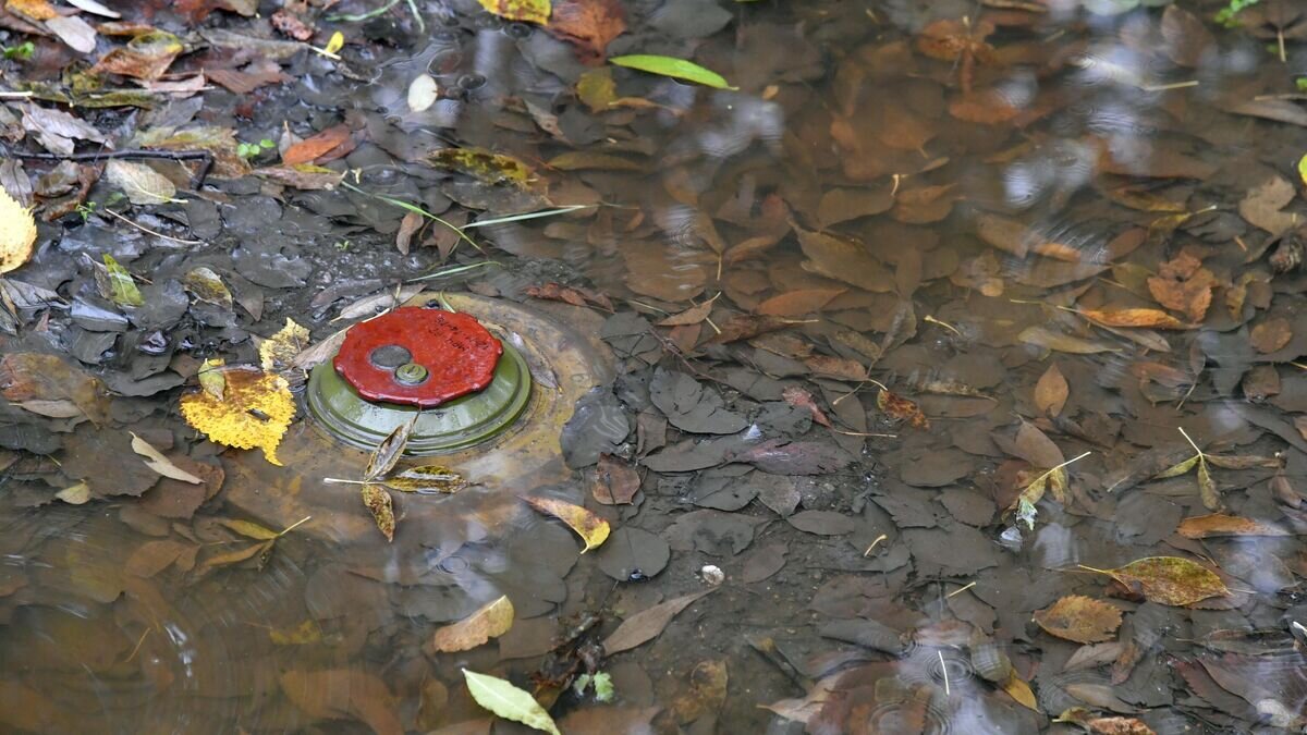    Противотанковая мина, установленная ВСУ в Луганской народной республике.© РИА Новости / Виктор Антонюк