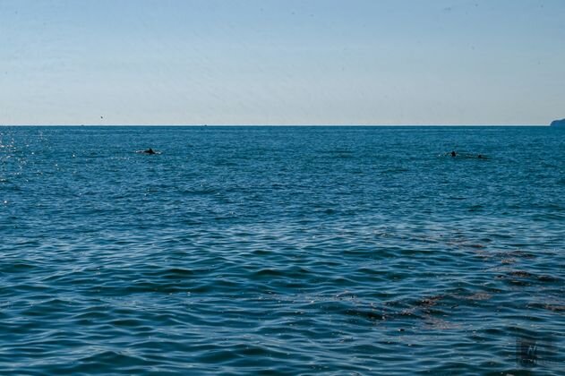    Море Александр Погожев © ИА REGNUM
