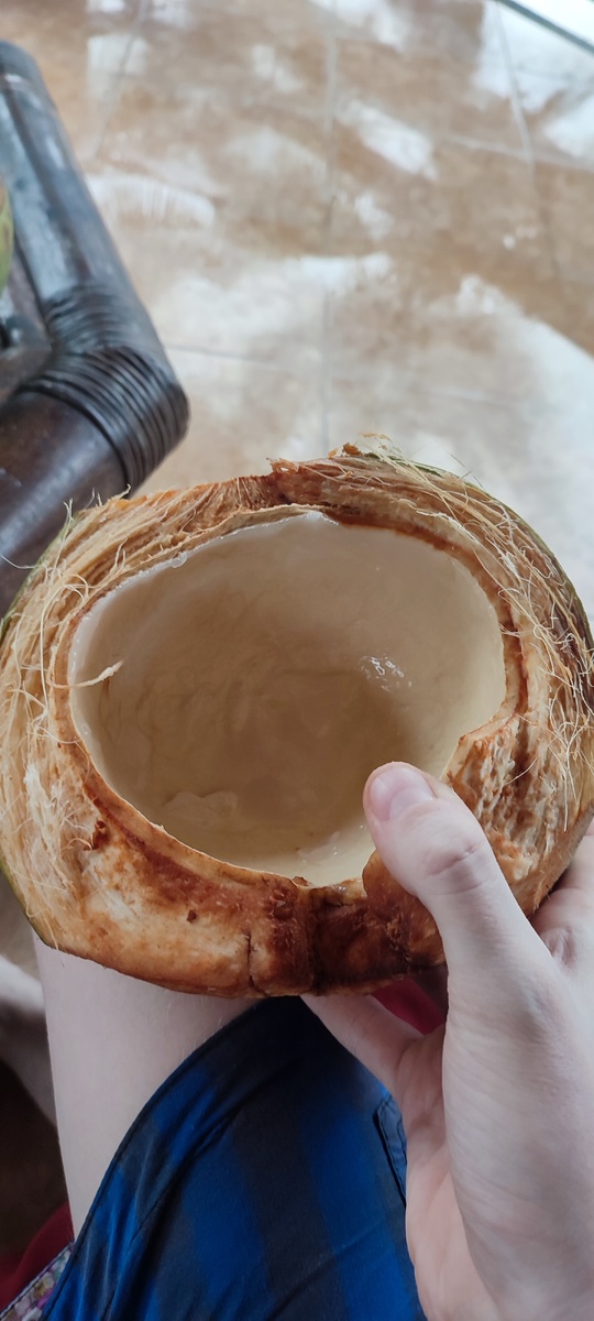 Огромный кокос. 