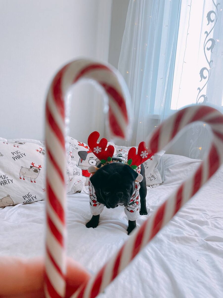 Сделано было в позапрошлом году 