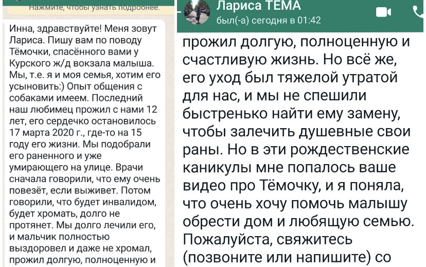 С этого началась дорога к счастью Темы 