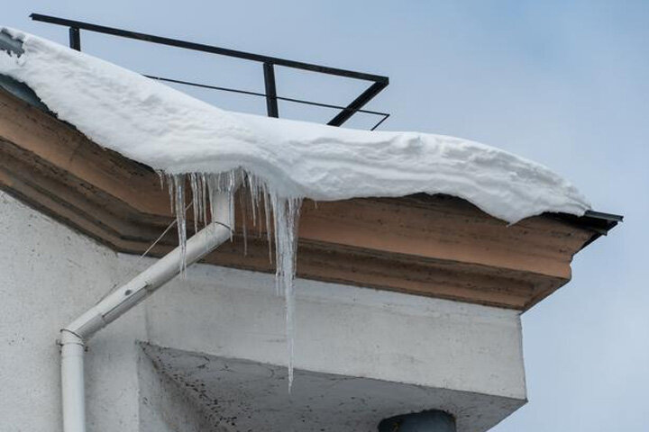 Фото:ru.freepik.com 