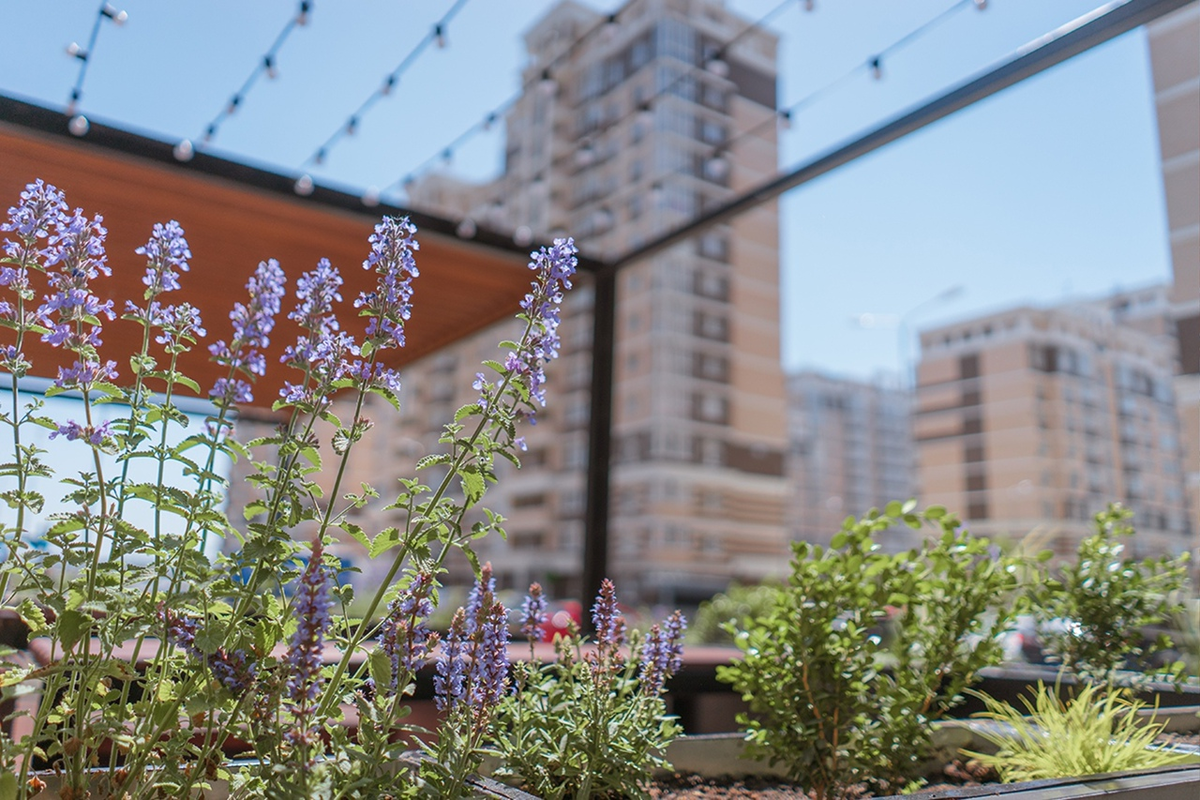 Фото - NEO-квартал Красная площадь в Краснодаре