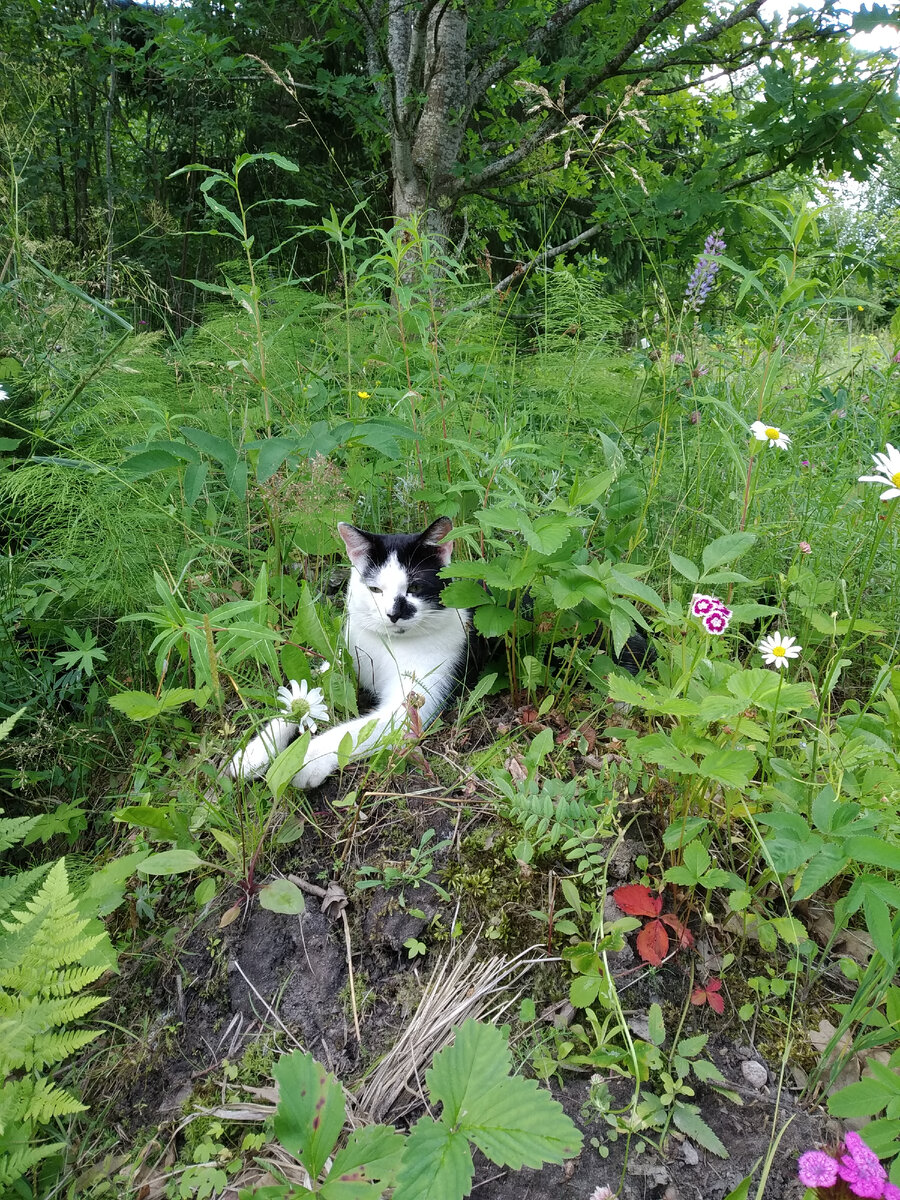 Как же хорошо на клумбе)