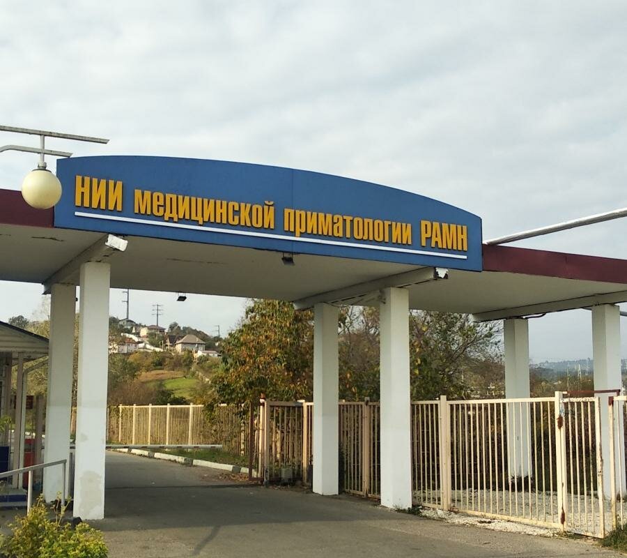 приматология адлер. приматология адлер. приматология сочи. научно-исследовательский институт медицинской приматологии. чалян владимир гургеноч.
