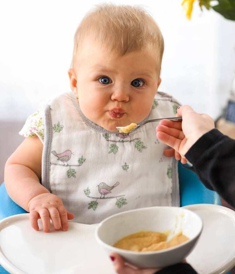 Начало прикорма младенцев. Начало прикорма младенцев. Начало прикорма младенцев. Ввод прикорма ребенку 6 месяцев схема. Прикорм.