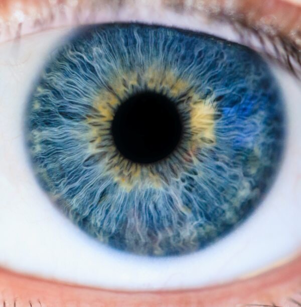  Фото автора Michael Morse: Pexels
