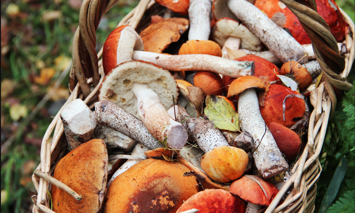 Фото Юрия Краснова