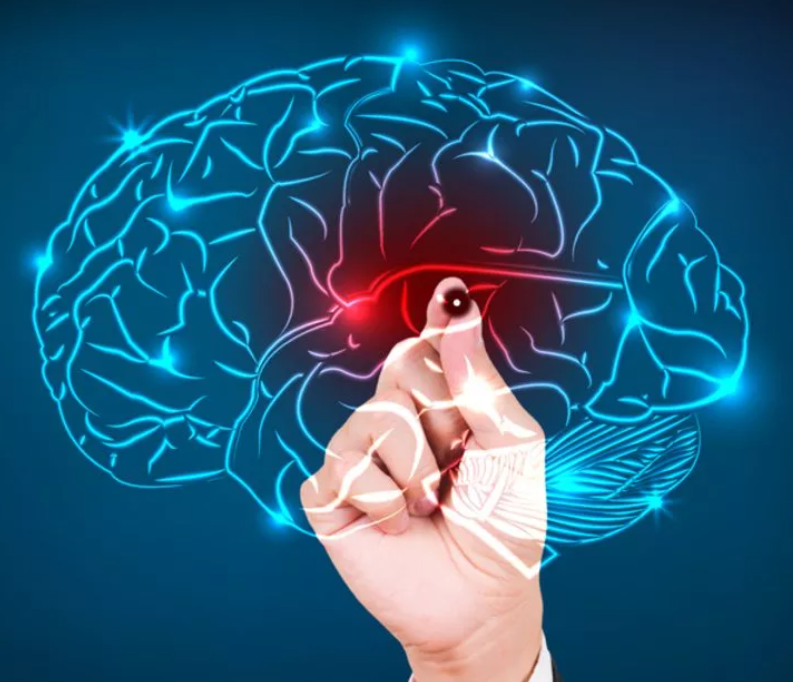 Управление импульс мозга. Неврология мозг. Мозг человека Нейроны. Электрические импульсы мозга.