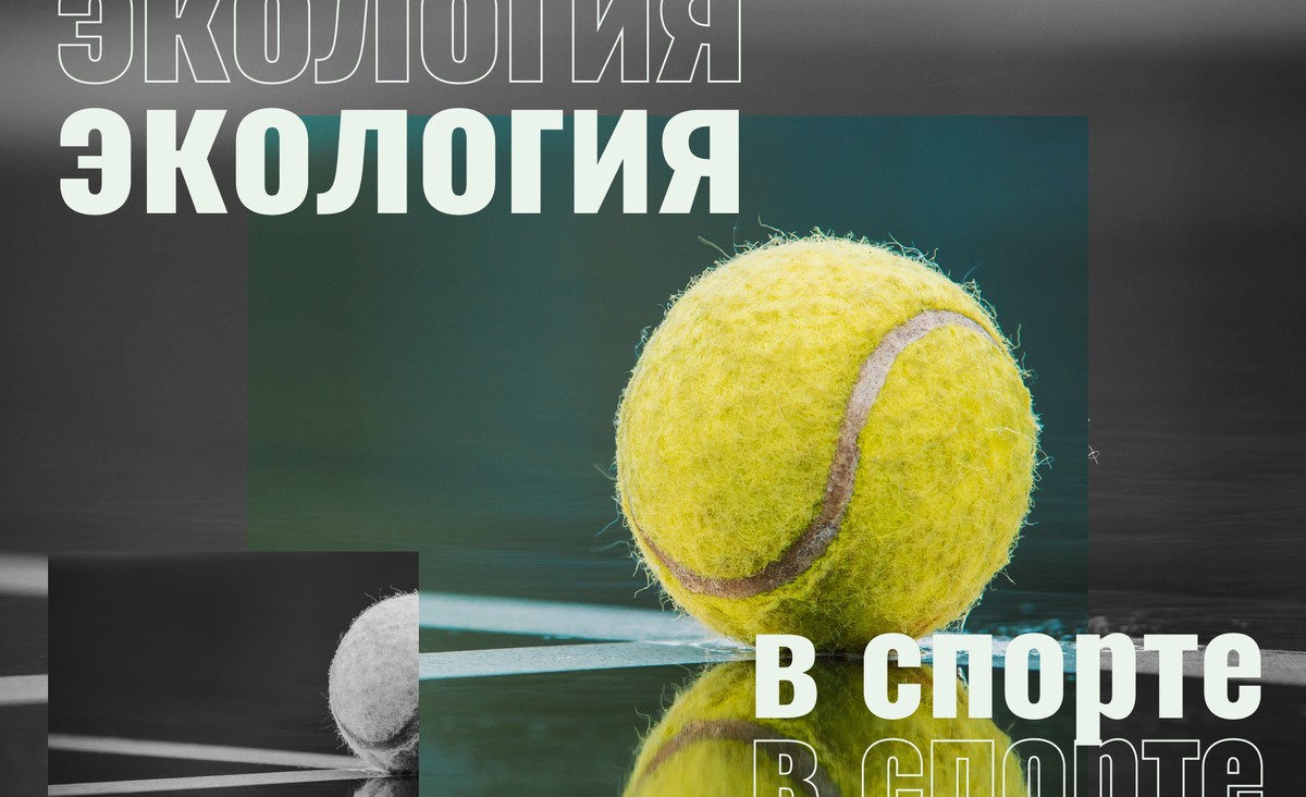 спорт и экология