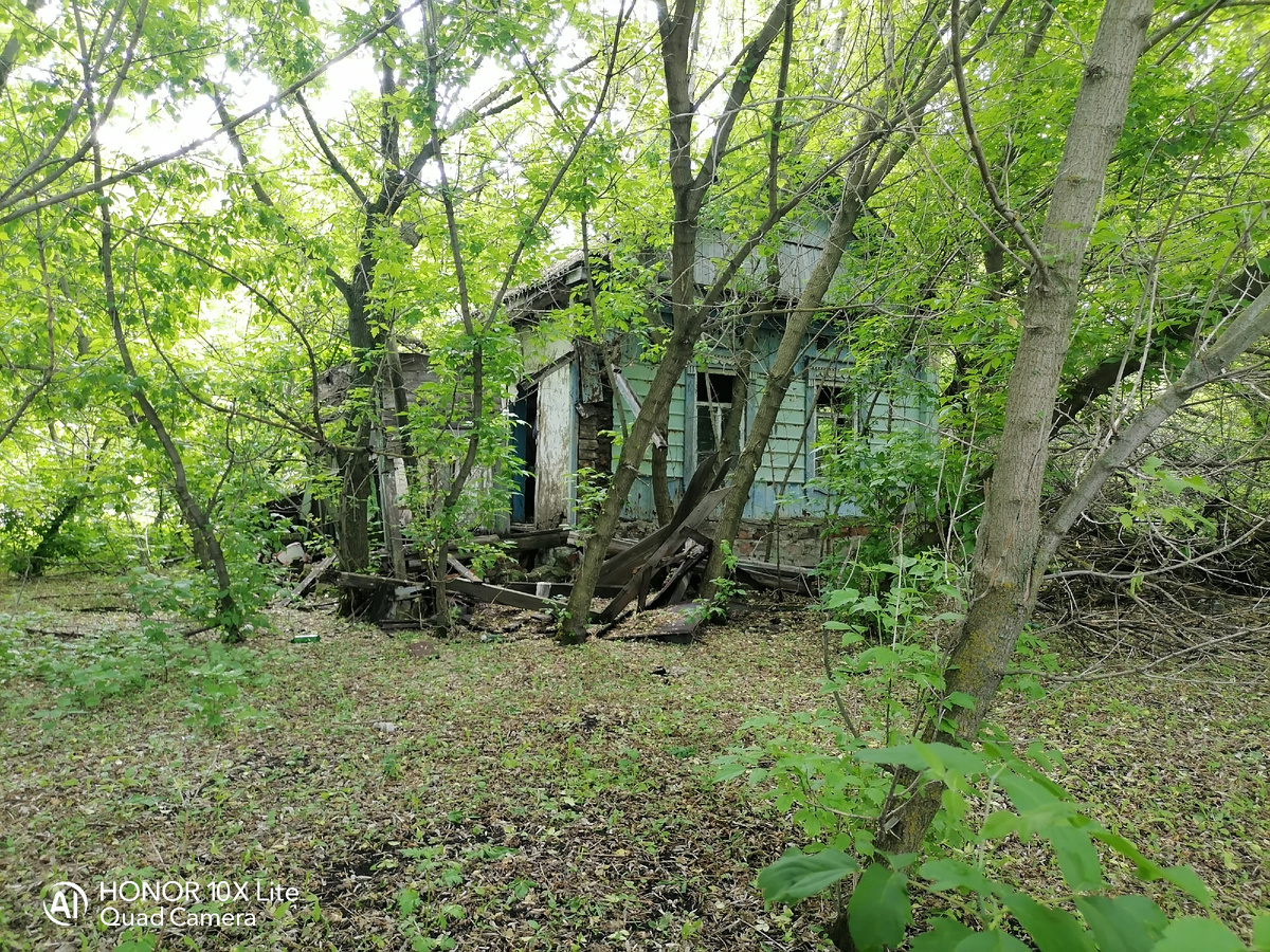 В густых зарослях нашли заброшенный деревянный дом. Находки в нем | Познаем  вместе! | Дзен