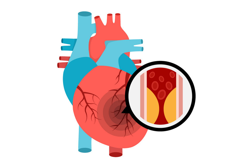 Приказ Министерства здравоохранения Российской Федерации от 24.09.2021 № 936н вступает в силу с 26 октября 2021 года 
