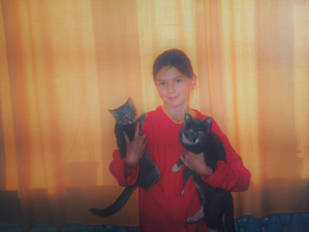 Мои первые котеи - кот Барсик и кошка Лиза