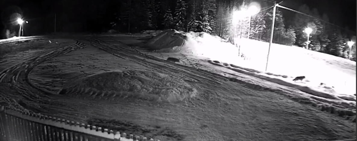 Кадр из видео, представленного в TELEGRAM канале "Подъём"