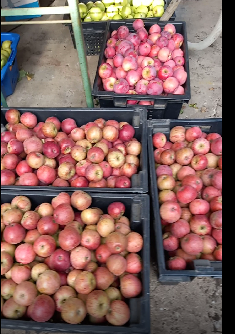 дозрели...Очень сладкие