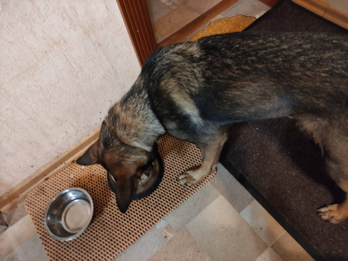 Фото Хозяина