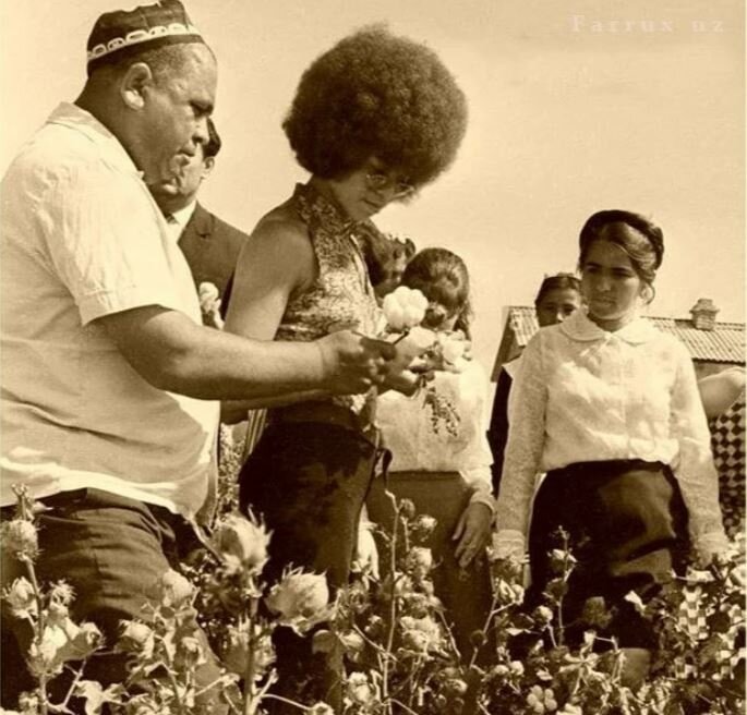 После таких сборщиков ох... Анжела Дэвис решила оказать посильную помощь Узбекистану в сборе 5млн. хлопка