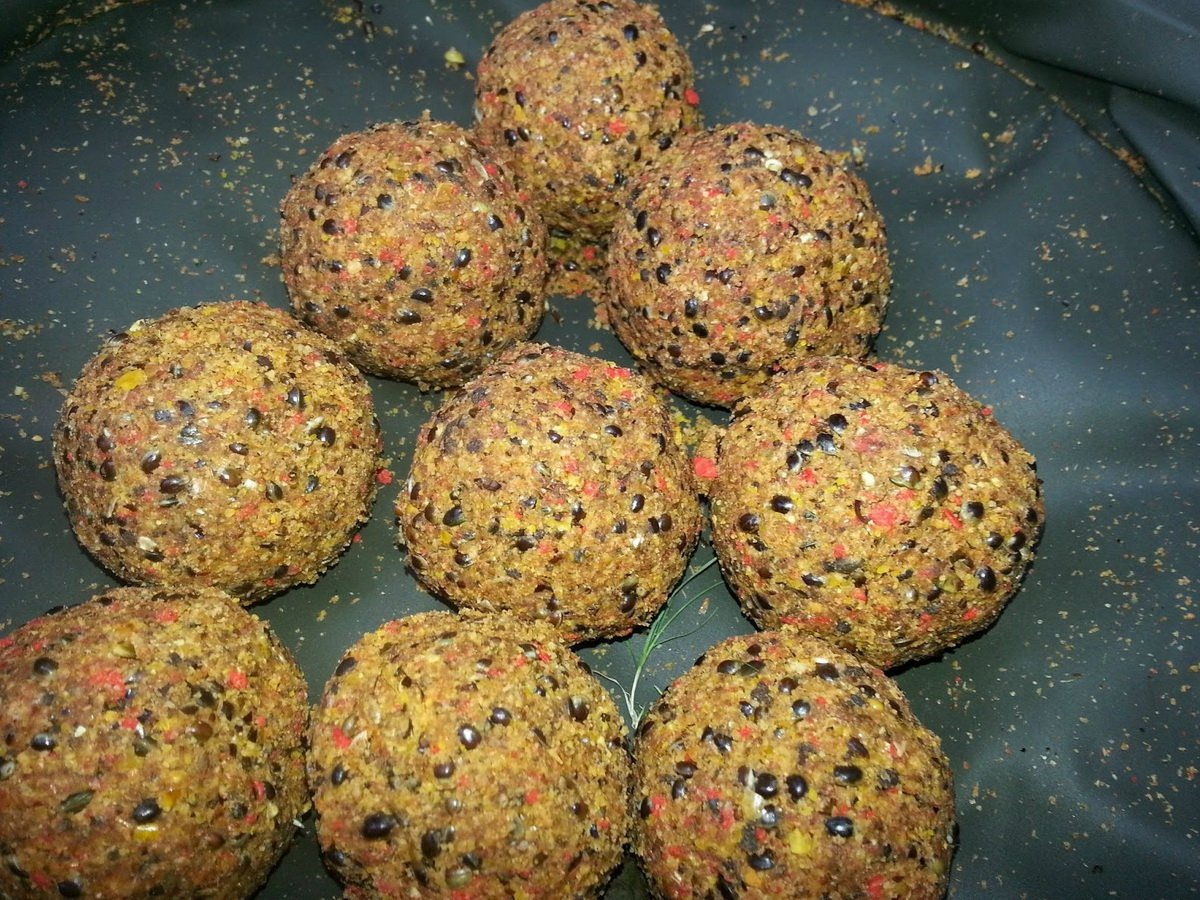 фото с открытых источников