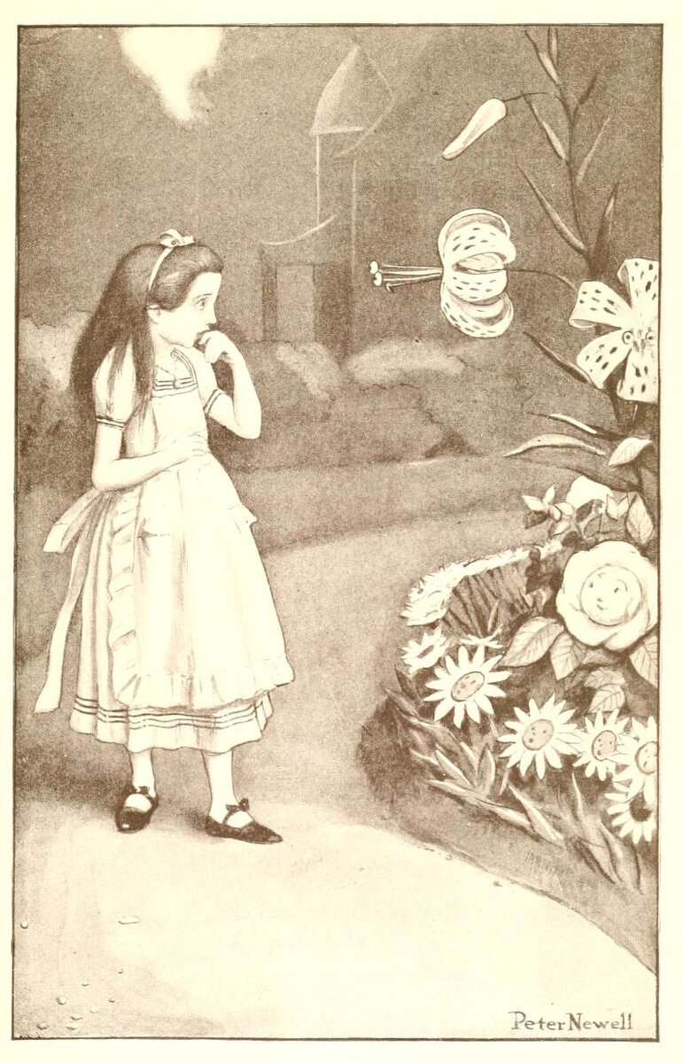 Худ. Питер Ньюэлл, 1902