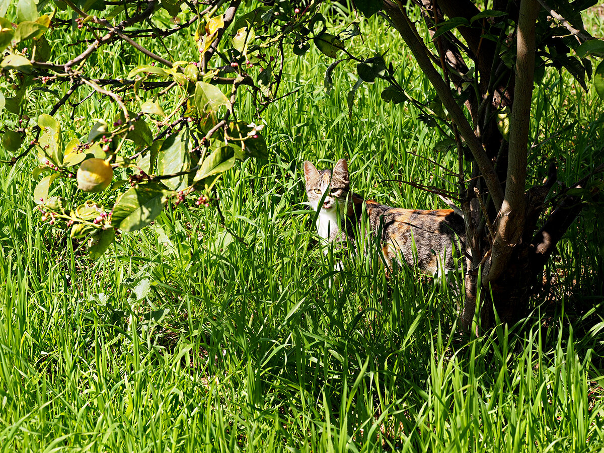 Фото автора
