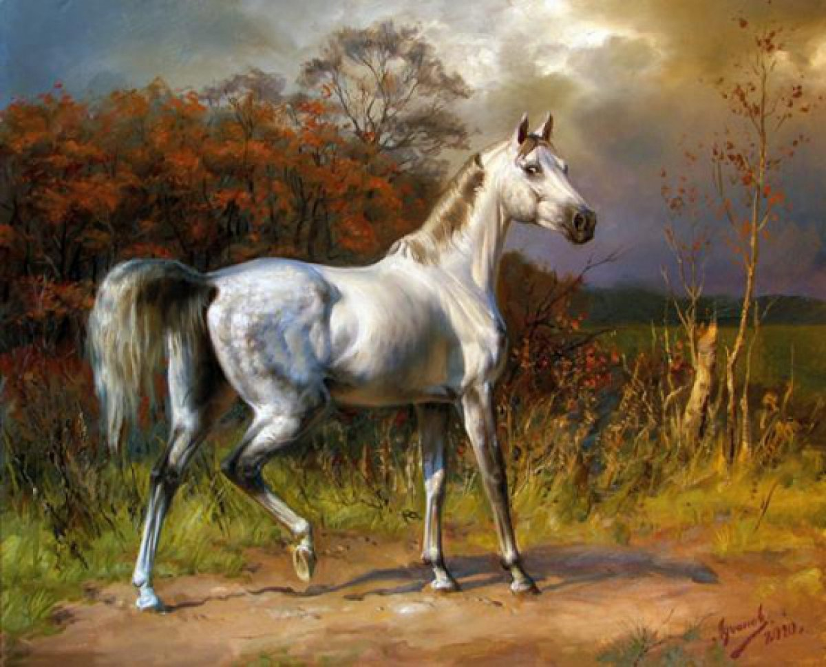 Лошади Ахалтекинцы живопись авторы картин