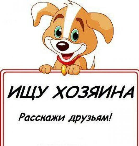 Из открытого источника