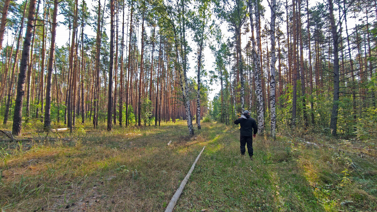 Начало пути. Листайте далее ->