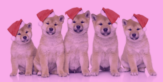 Источник-https://medium.com. Перевод с английского - @AndreiBux 