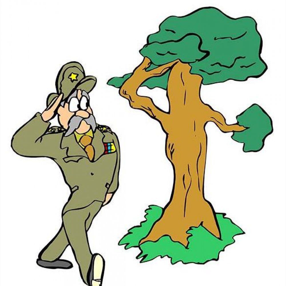 Из сети. Для оформления. Да и улыбнуло, чего уж тут.