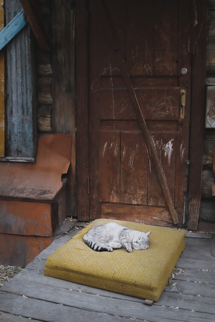 фото: Аня Сазонова