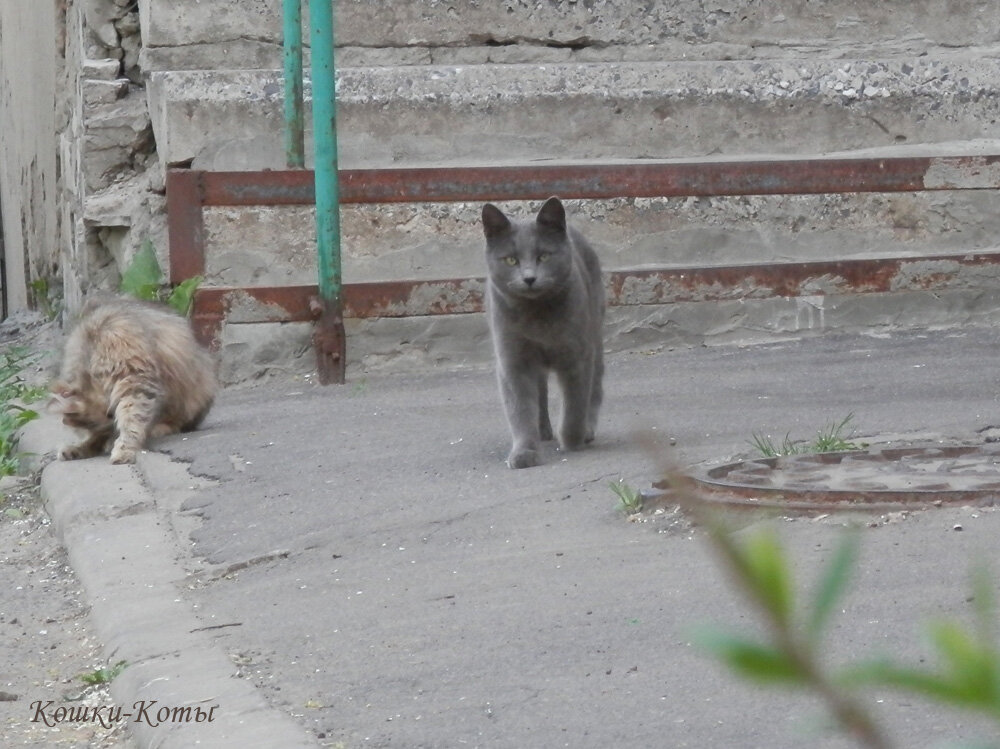 2. Иду такая красивая