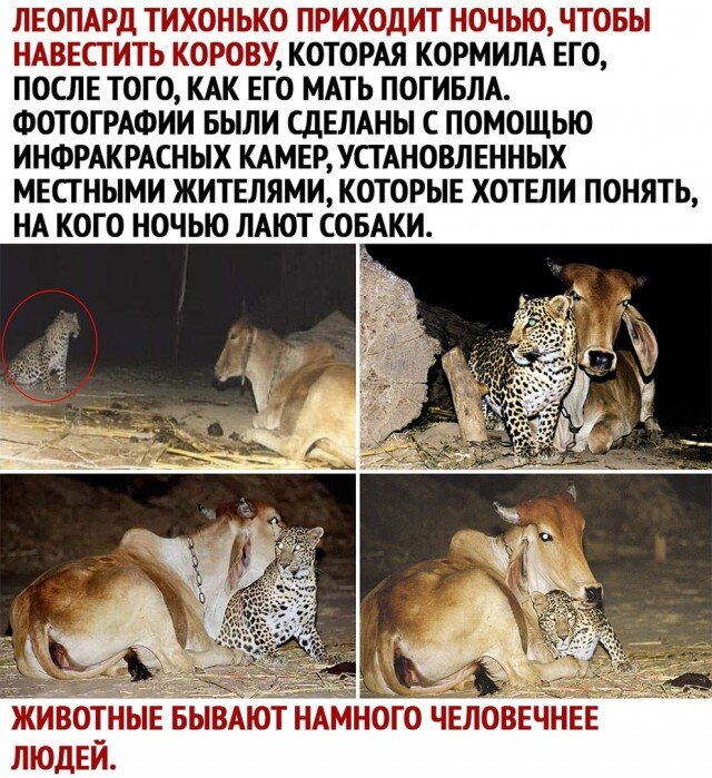 Юмор для разряда обстановки