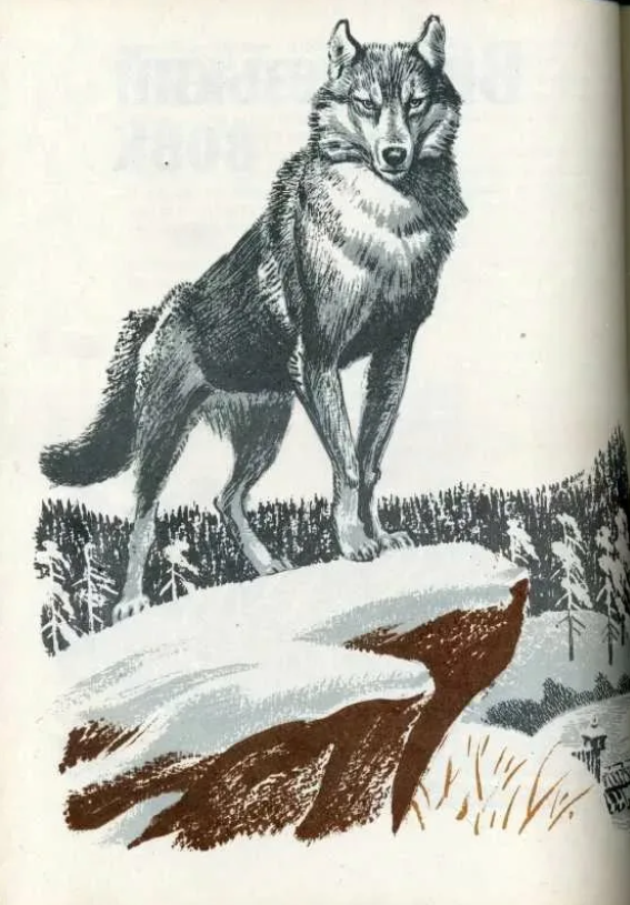 Шукшин произведения волки