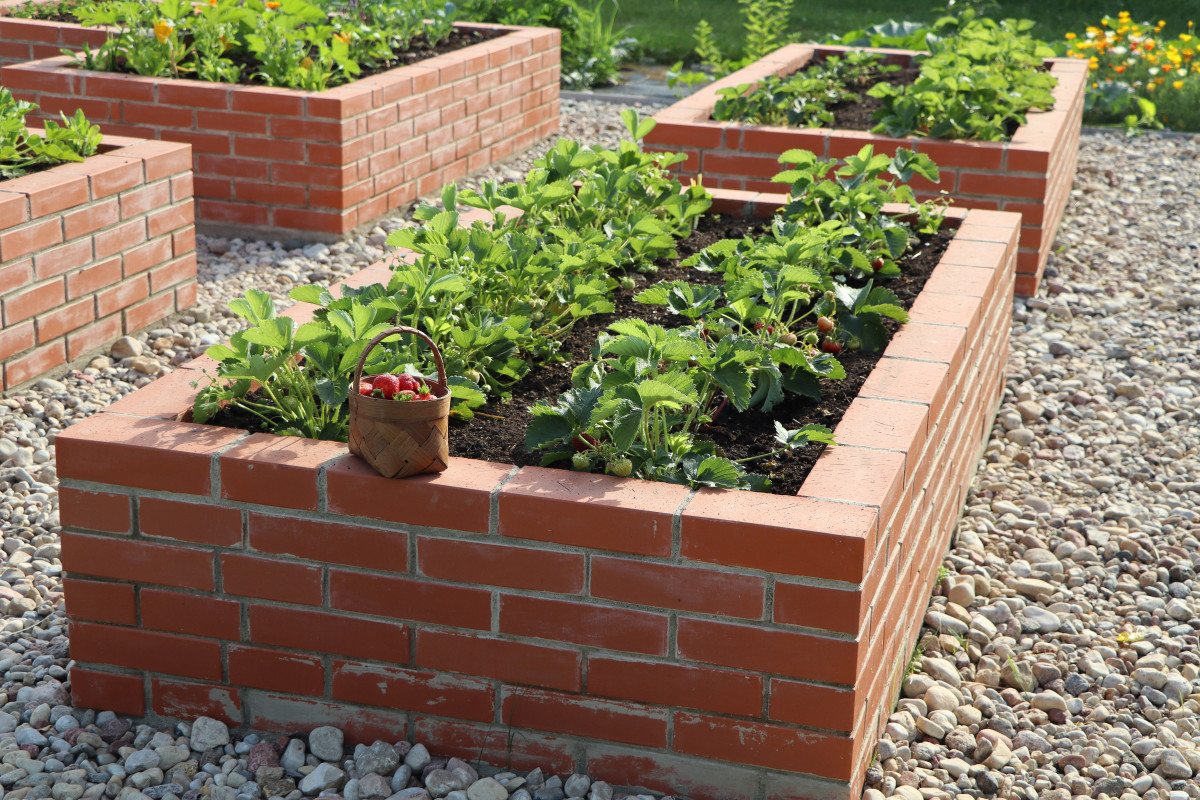 Как без бетонных бордюров отделить грядки и цветники от садовых дорожек? (3 варианта)8