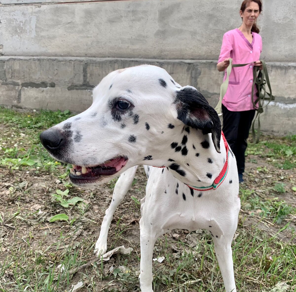 Анабель передает привет.