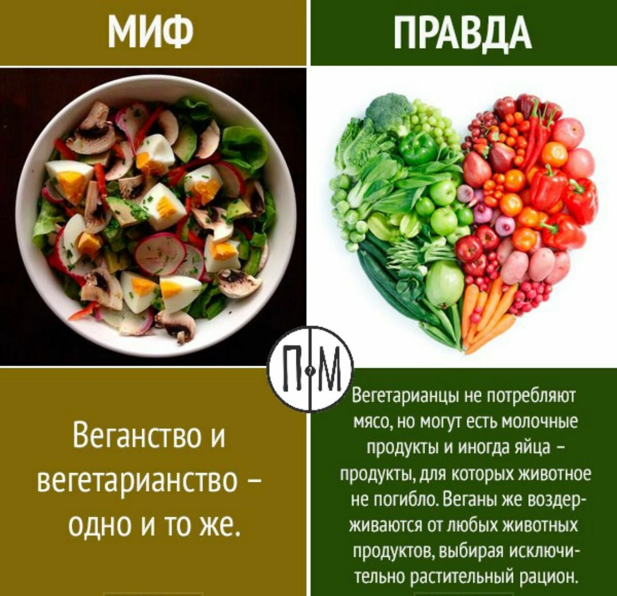 Что едят вегетарианцы продукты. Веганы и вегетарианцы отличия. Веган и вегетарианец. Вегетарианство схемы. Какие есть виды вегетарианства.