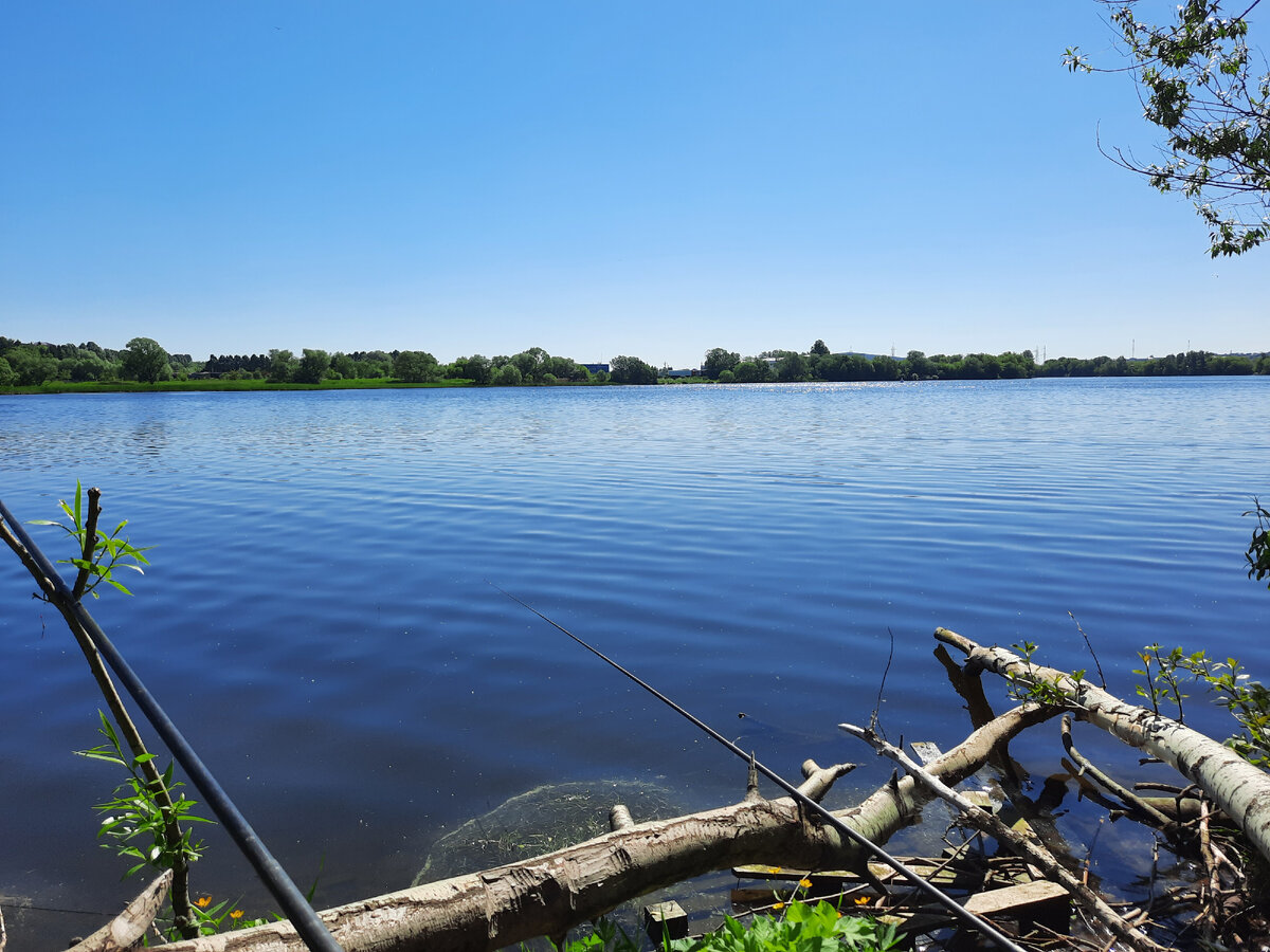 Рыба стояла в ямах и под корягами.
Фото автора
