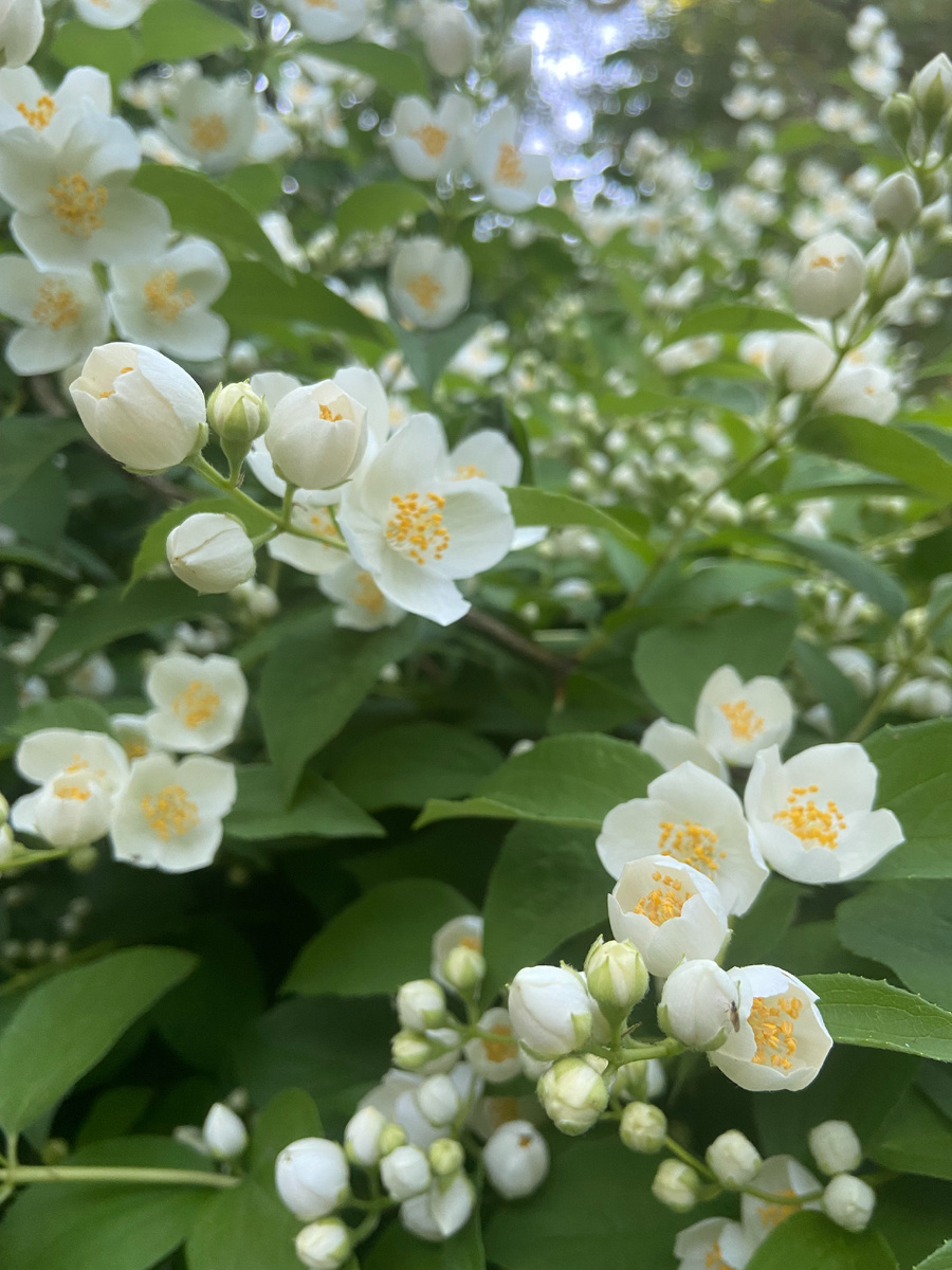 Фото: Womazine.ru