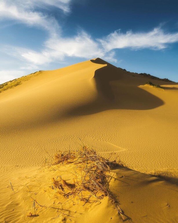 фото из интернет-источника