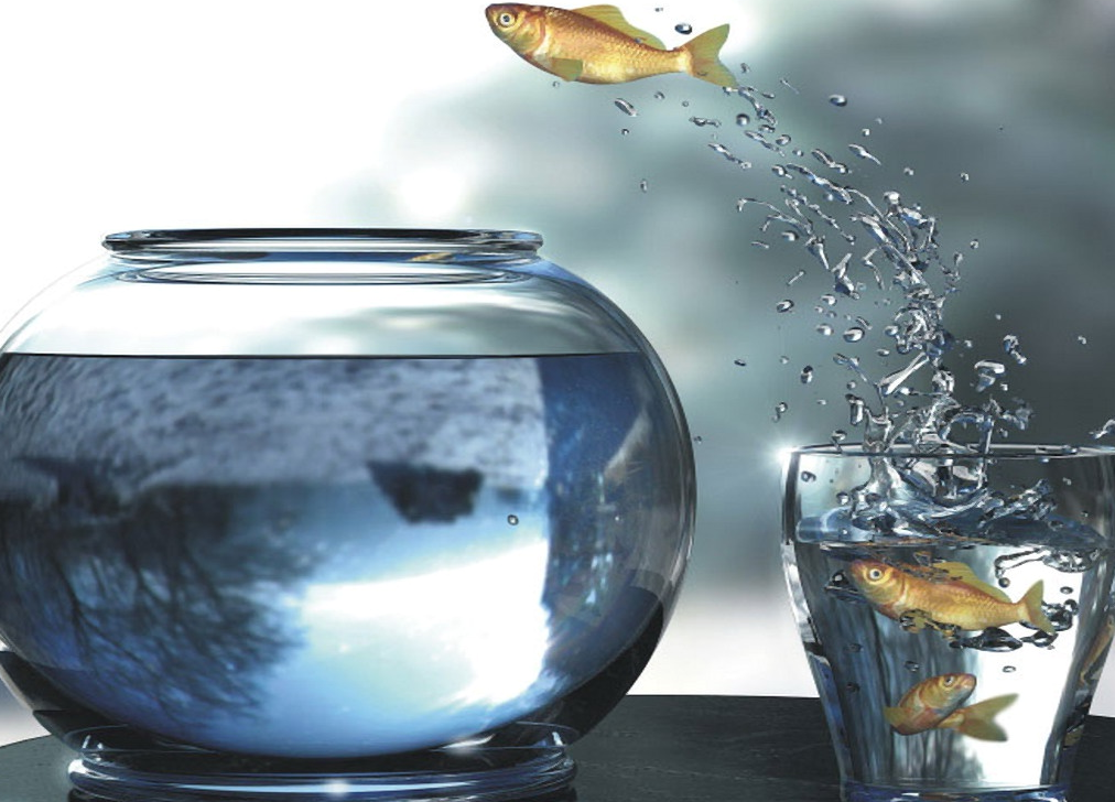 Фото https://avatars.mds.yandex.net