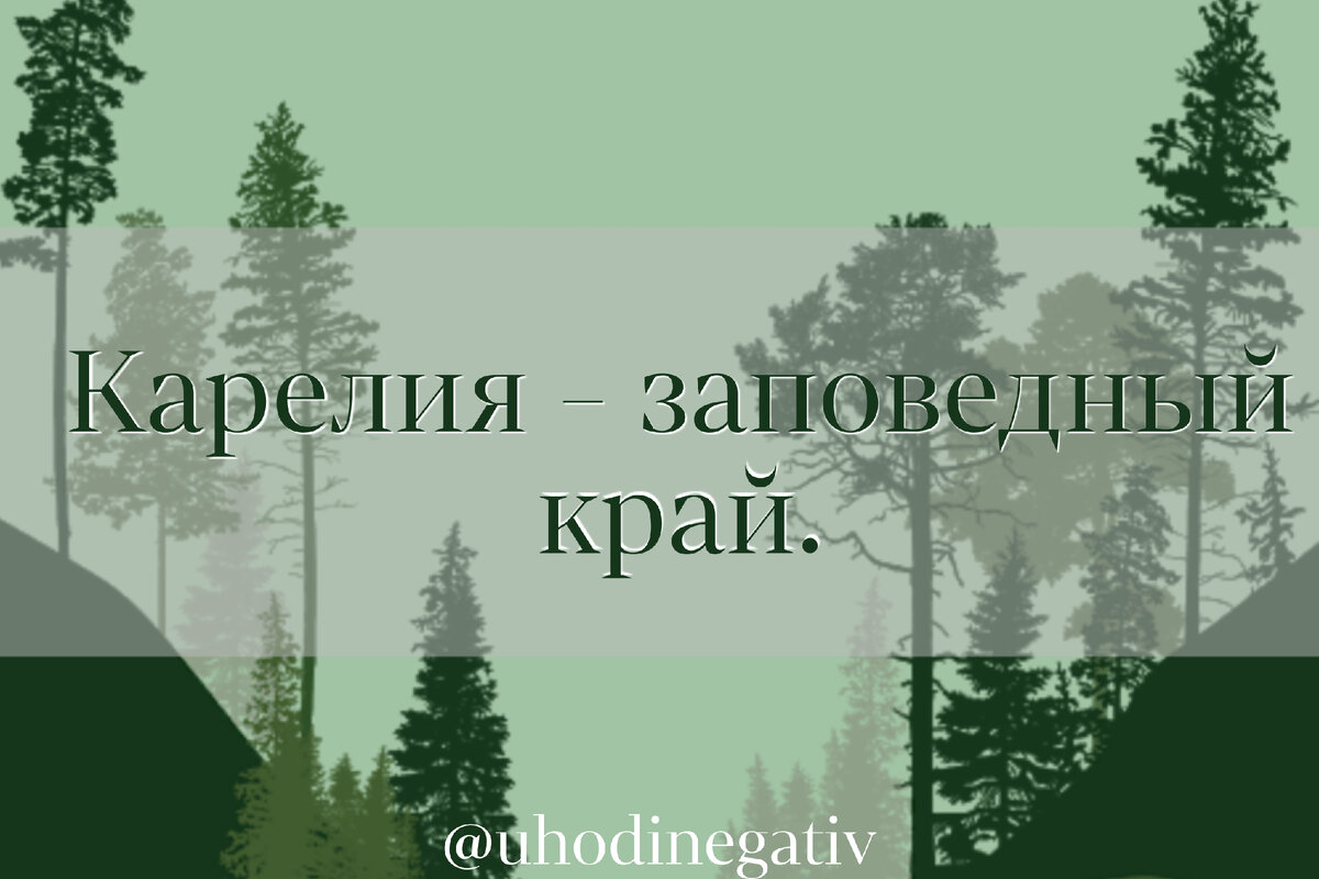 Карелия - заповедный край. Фото: Анна Салтаганова.