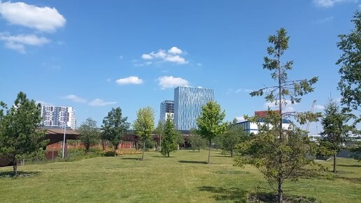 МЦК ЗИЛ парк Тюфелева роща