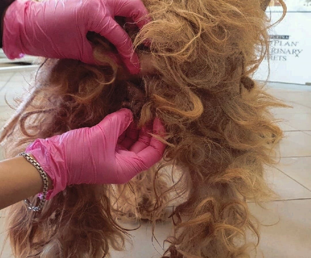 Потрепала его жизнь