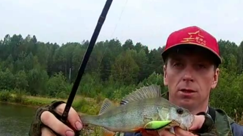 Окунь на Воблер Tsuribito VIB 46S-HS.Фото автора